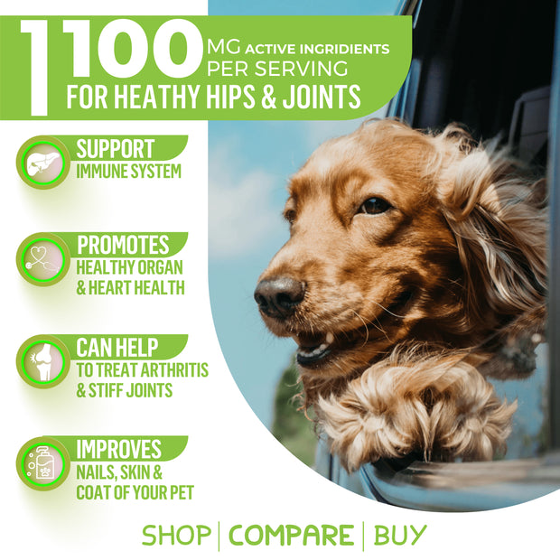 WIZARDPET HEMP HIP & JOINT SUPPLEMENT 120 CHEWS