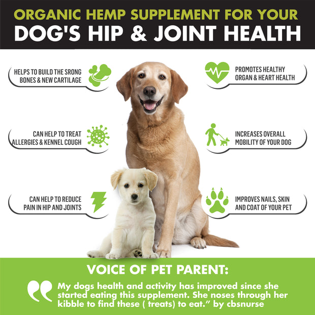 WIZARDPET HEMP HIP & JOINT SUPPLEMENT 120 CHEWS