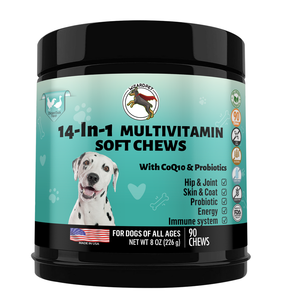 Are Multivitamins Good For Dogs are-multivitamins-good-for-dogs