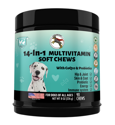 WIZARDPET 14-in-1 Dog Multivitamin | Everyday Supplement for Dogs with Glucosamine Probiotic, Chondroitin, Omega-3s | Hip Joint Support, Skin Coat, Heart Health, Gut & Immune | 90 Soft Chews